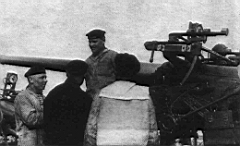 11.jpg: 102-мм пушка Обуховского завода на эсминце «Незаможник».